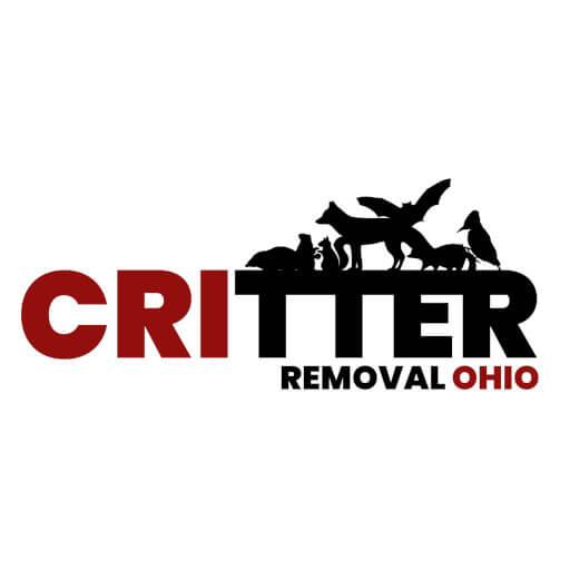 Critter Removal Ohio