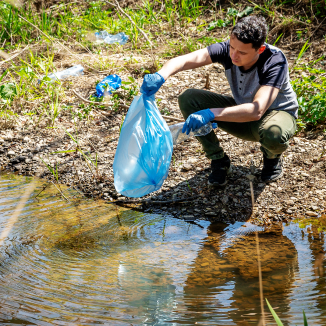 wildlife cleanup