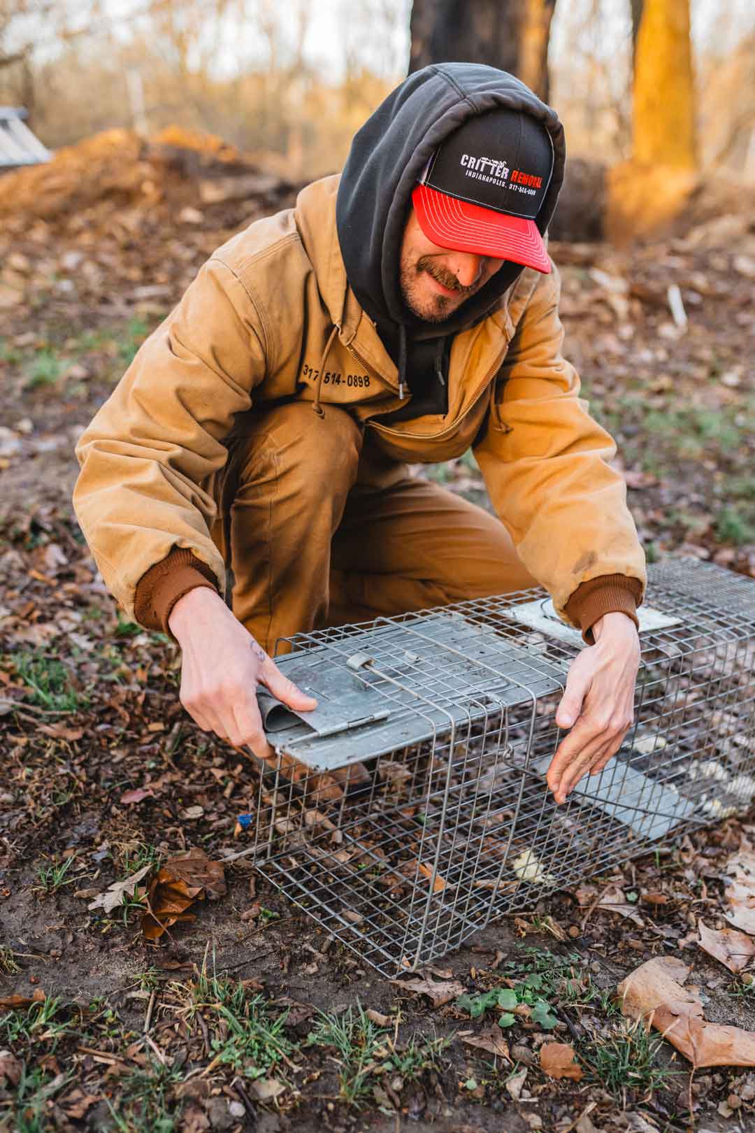 Critter Removal - squirrel