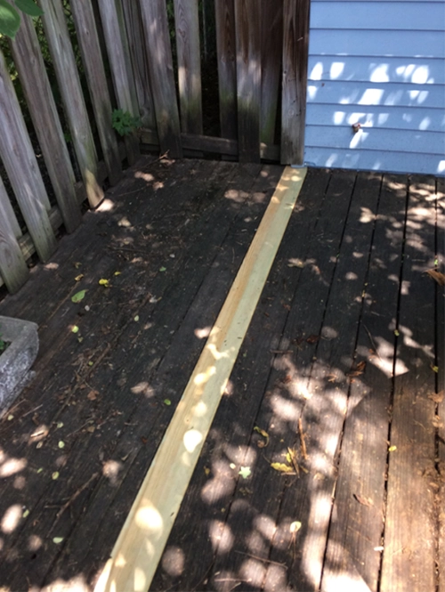 Humane Wildlife Removal - Critter Removal - Deck repair